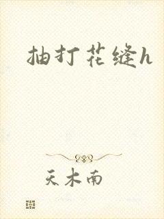 抽打花缝h