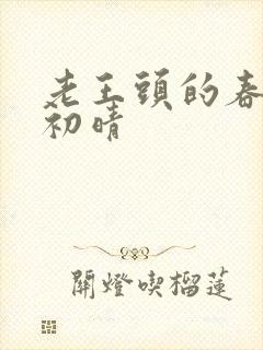 老王头的春天林初晴
