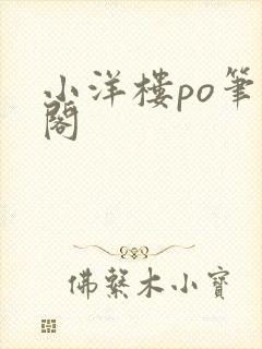 小洋楼po笔趣阁