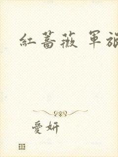 红蔷薇 军旅文