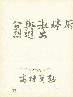 公与淑婷厨房猛烈进出