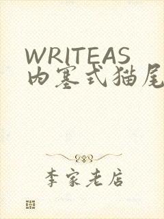 WRITEAS内塞式猫尾