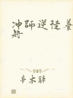 冲师逆徒养成手册