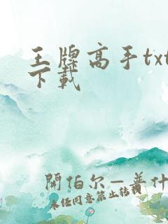 王牌高手txt下载