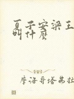 夏子安梁王书名叫什么