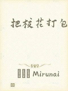 把校花打包带走