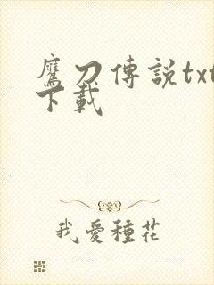 鹰刀传说txt下载