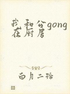 我和公gong在厨房