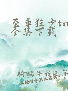 至尊狂少txt全集下载
