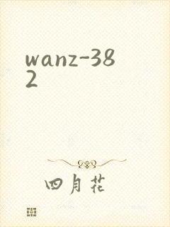 wanz-382