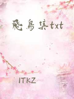 飞鸟集txt