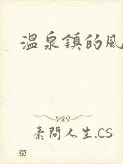 温泉镇的风流事