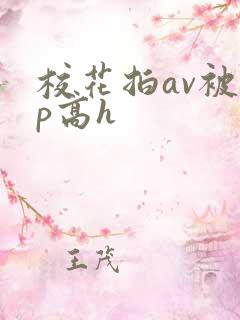校花拍av被np高h