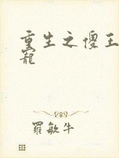 重生之傻王心尖宠