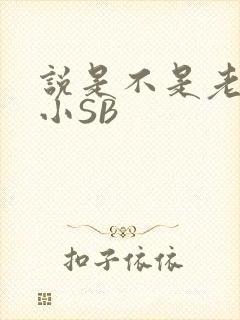 说是不是老公的小SB