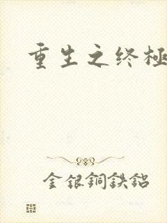 重生之终极杀手