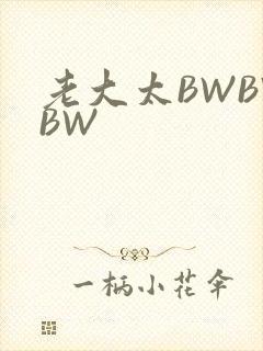 老大太BWBWBW