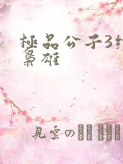 极品公子3续世枭雄