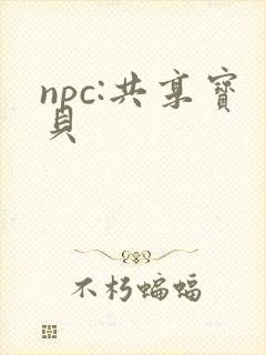 npc:共享宝贝