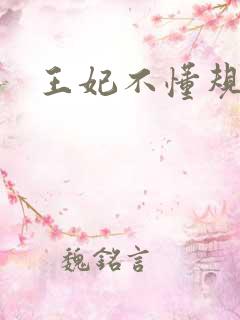 王妃不懂规矩