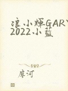 浪小辉GARY2022小蓝
