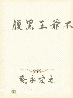 腹黑王爷不良妻