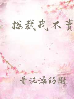 总裁我不卖宝宝