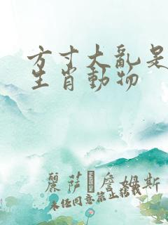 方寸大乱是什么生肖动物