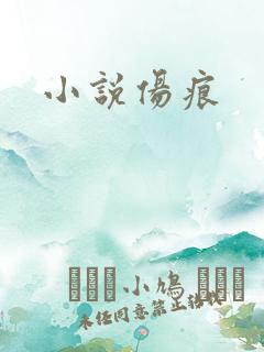 小说伤痕