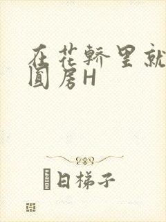 在花轿里就开始圆房H