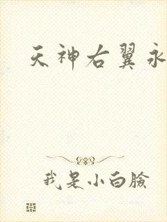 天神右翼永恒