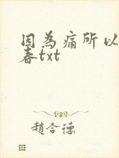 因为痛所以叫青春txt