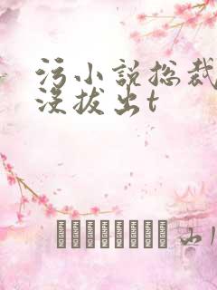 污小说总裁整夜没拔出t