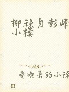 柳秋月彭峰月满小楼