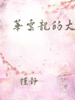 华云龙的大宝贝