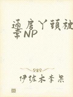 通房丫头被肉日常NP