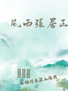 风雨张居正下载