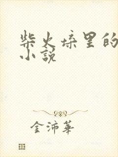 柴火垛里的疯狂小说