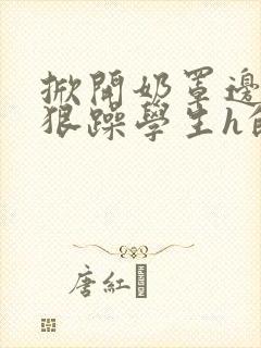 掀开奶罩边躁狠狠躁学生h的小说