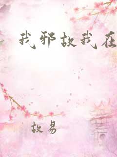 我邪故我在