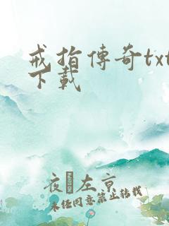 戒指传奇txt下载