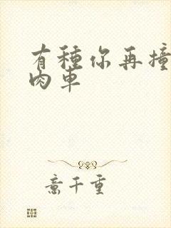 有种你再撞一下肉车