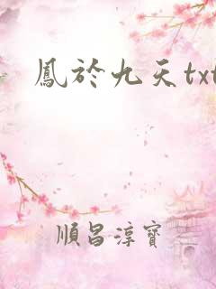 凤于九天txt