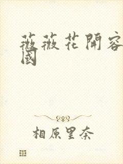 薇薇花开容颜倾国