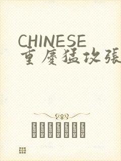 CHINESE重庆猛攻张先生