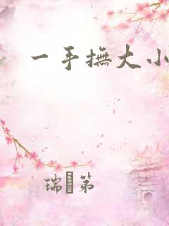 一手抚大小说
