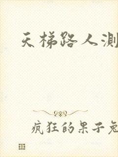 天梯路人测试器