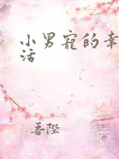 小男宠的幸福生活