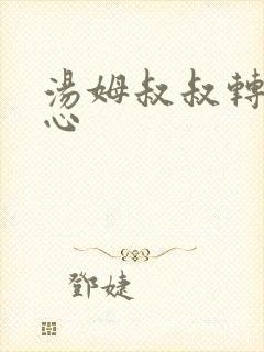 汤姆叔叔转入中心