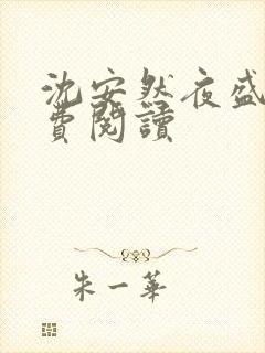 沈安然夜盛霆免费阅读